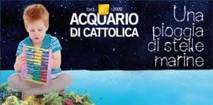 Una pioggia di stelle marine