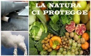 Inquinamento? La natura ci protegge!