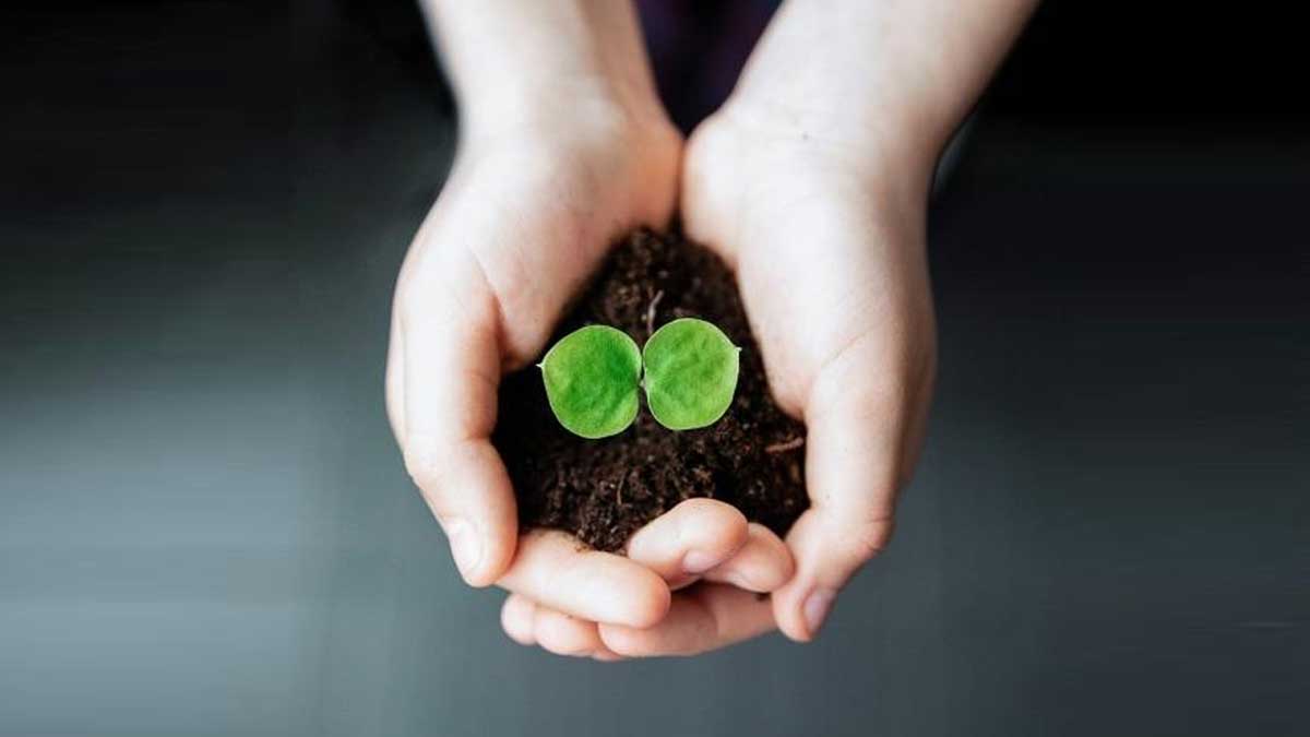 Ue, accordo storico: agricoltura pronta alla svolta green